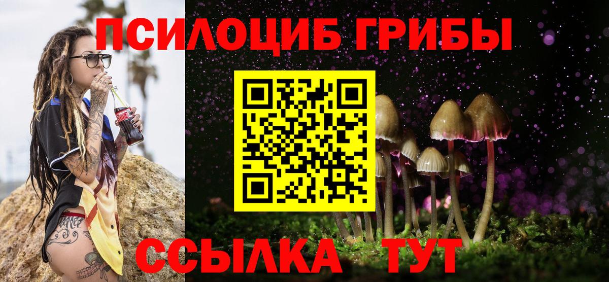Псилоцибиновые грибы MAGIC MUSHROOMS  Соликамск  купить закладку  Галлюциногенные грибы ЛСД 