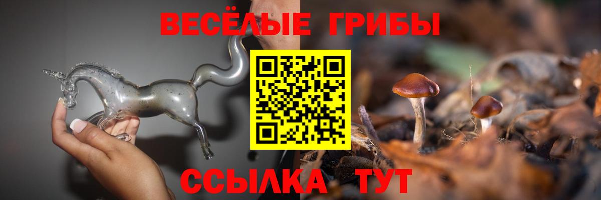 Галлюциногенные грибы мицелий  Псилоцибиновые грибы прущие грибы  Вход с VPN  Соликамск 