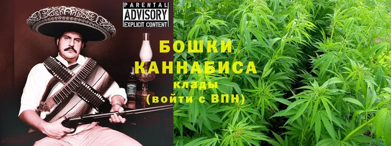 Бошки марихуана Amnesia  Соликамск 